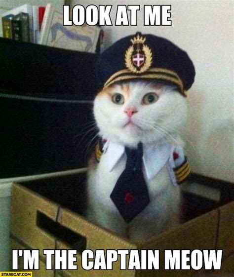 Everyone loves lol cats, right? | Look At Me, I'm The Captain Now | Know Your Meme