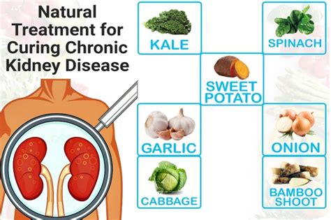 Natural Treatment for Kidney Disease - Dr Tsan - Philadelphia Holistic clinic