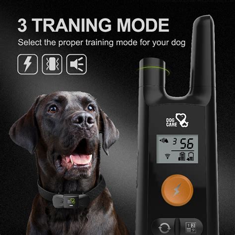 DogCare Shock Dog Training Collar, Black - Chewy.com