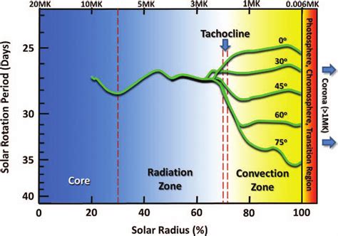 The rotation rates derived from observations show the differential ...