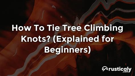 How To Tie Tree Climbing Knots? (Explanation Revealed!)