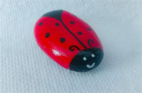 Ladybug painted rock | Painted rocks, Rock, Ladybug