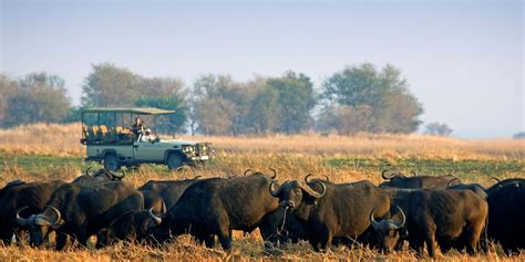 Kafue National Park Safari Holidays | Zambia Safaris | Yellow Zebra Safaris