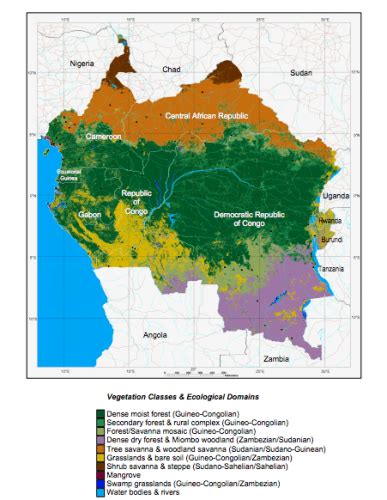 Tackling climate change may lessen Central African Republic conflict risks - scientists - CIFOR ...