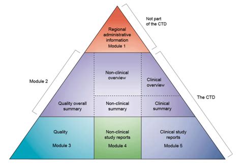 Marketing Authorisation Applications - EUPATI Toolbox