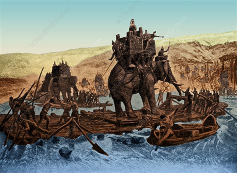 Hannibal's War Elephants Cross Rhone - Stock Image - C027/4240 - Science Photo Library