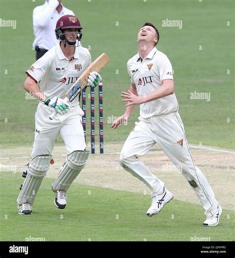 Jackson Bird of the Tigers (right) looks to take a catch off his bowling during day three of the ...