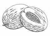 Melons Coloring Pages Printable For Free Download sketch template