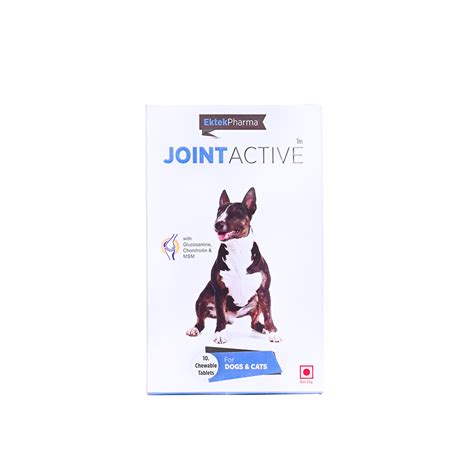 JOINT ACTIVE TABLET Online at Best Price In India