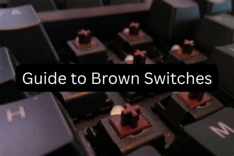 Brown Switches: The Ultimate Guide - Digiva.net