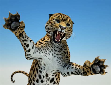 Jaguar Roaring