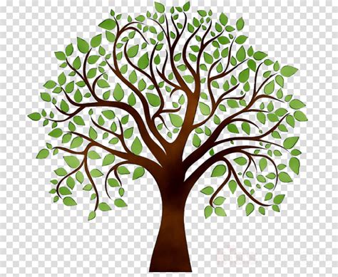 tree drawing clipart 10 free Cliparts | Download images on Clipground 2024