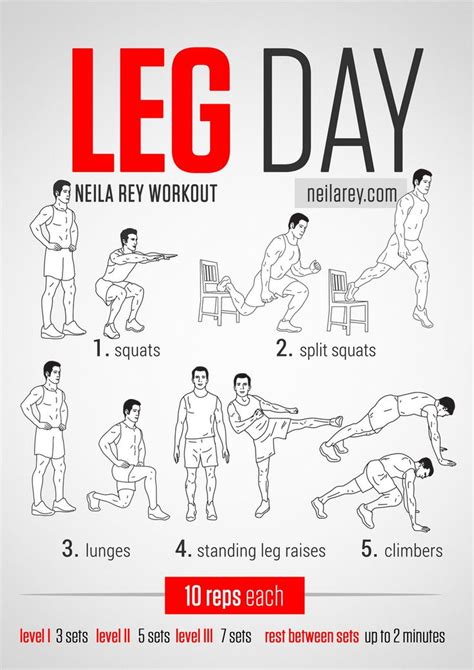 16 Amazing Leg Workouts To Tone Your Lower Body! – TrimmedandToned