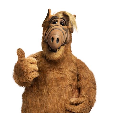 Do you remember this little guy? #80s | Alf, 80s cartoons, Cartoon