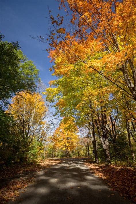 11 Scenic Fall Drives in Wisconsin You Can’t Miss | Scenic drive, Wisconsin travel, Scenic