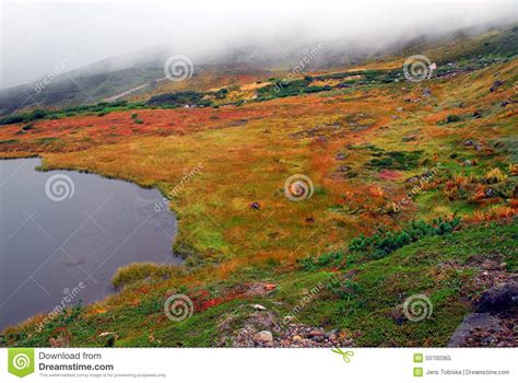 Autumn colors lake fog stock image. Image of land, green - 50700365