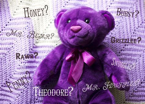 Cute and Funny Teddy Bear Names - WeHaveKids