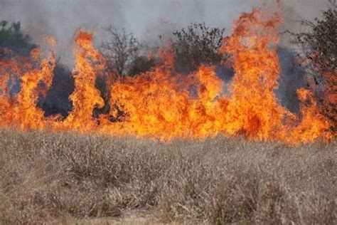 Science Takes on Western Wildfires | Behind the Scenes | Live Science