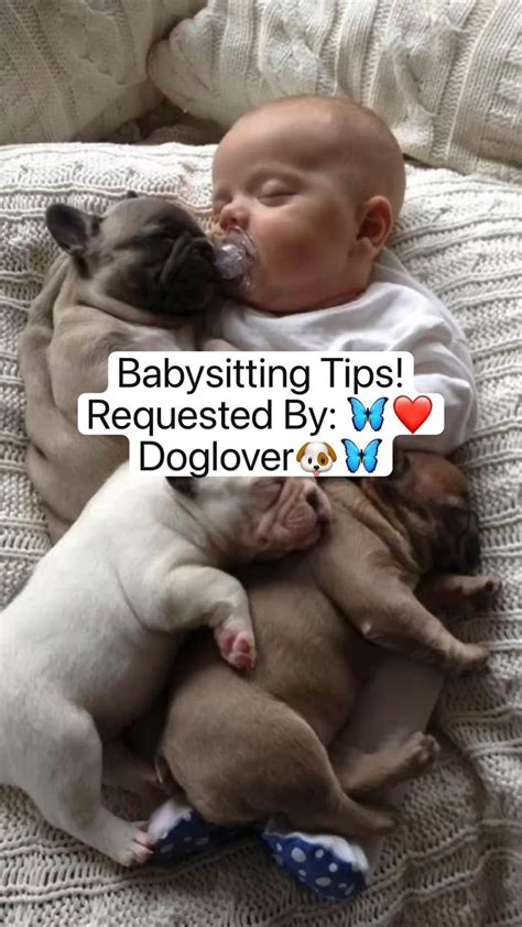 Babysitting Tips! Requested By: 🦋 ️Doglover🐶🦋 | Babysitting activities, Babysitting, Babysitting ...