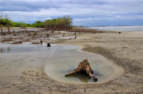 Best Beaches In West Bengal - Today’s Traveller - Travel & Tourism News ...