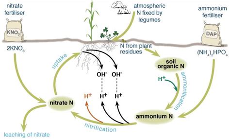 Soil Acidity - Land degradation in Australia