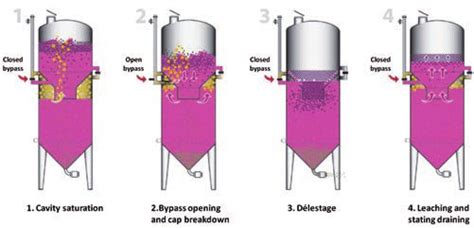 Stages of the maceration process in the Ganimede fermentation tank ...