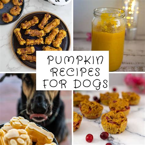 Pumpkin Recipes for Dogs - Pawsome Recipes