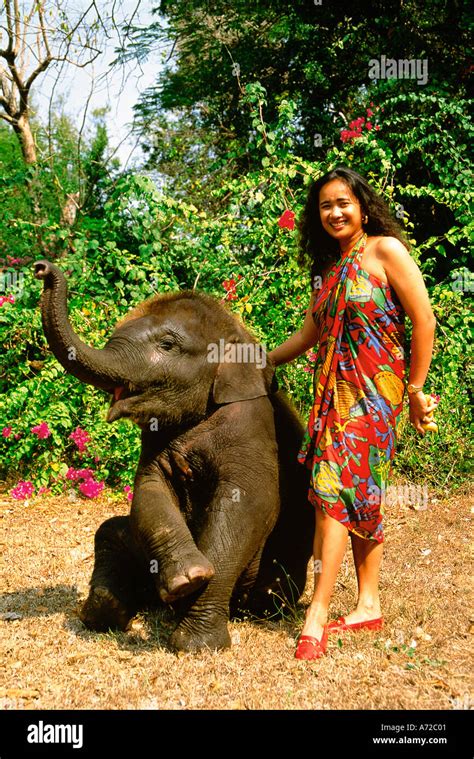 Girl with baby elephant thailand hi-res stock photography and images - Alamy