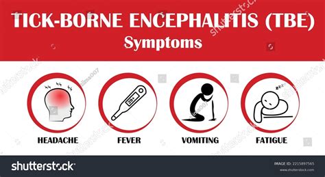 Tickborne Encephalitis Symptoms Flat Style Vector Stock Vector (Royalty ...