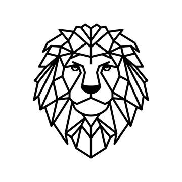 Lion Face Outline Drawing