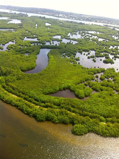 Indian River Lagoon Feb 2018 - Coastal Angler & The Angler Magazine