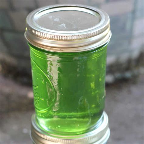 Canning Mint Jelly - Creative Homemaking