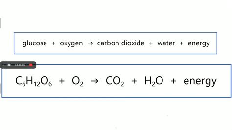 Respiration Equation