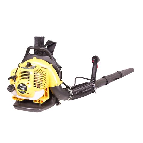 McCulloch Gas Powered Backpack Blower - Lawn & Garden - Leaf Blowers ...