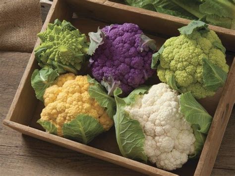 Nutrient-rich cauliflower provides vitamin C, fiber and folate. Because it absorbs flavors ...