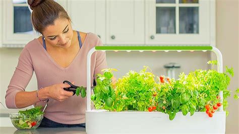 5 Best Indoor Hydroponic Gardening Systems for Your Home - YouTube