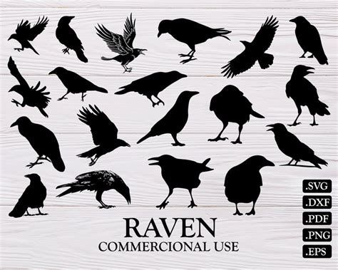 Raven Silhouette Vector at Vectorified.com | Collection of Raven ...