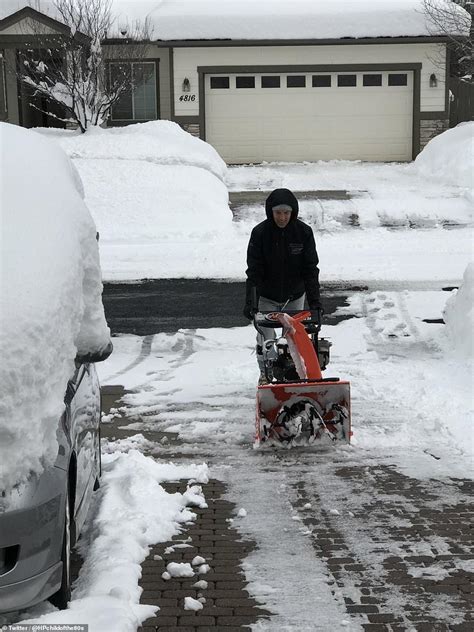 Flagstaff sets its all time snow record as 35.9inches dump on Arizona city | Daily Mail Online