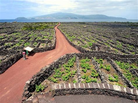 Pico Island, Azores