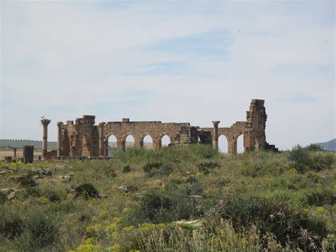 Our Lives as Spaniards: Morocco Part 2: Volubilis, Berkane and Mike