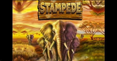 Stampede - free game ᐈ RTP, strategy and bonuses