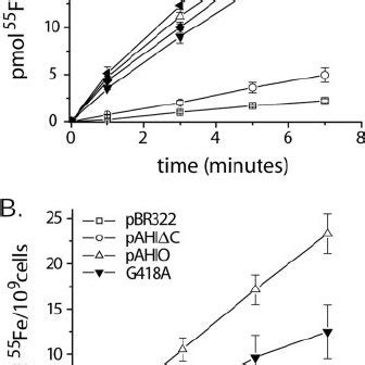 55 Fe 3 ϩ transport assay results of conserved permease motif | Download Scientific Diagram