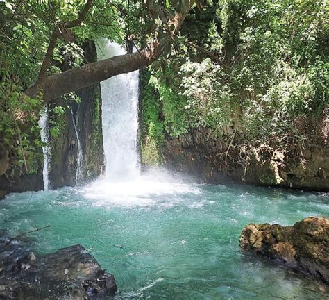 Banias Waterfall - The Jewish Link