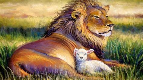 Lion And Lamb Wallpapers - Wallpaper Cave