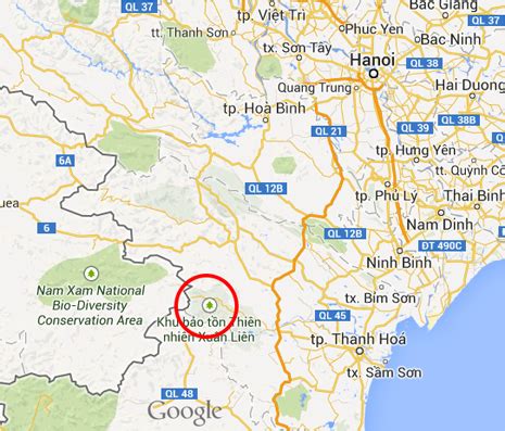 BREAKING: Bear Rescue Underway in Thanh Hoa Province, Vietnam