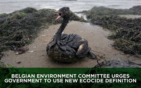 Belgian environment committee urges government to use new ecocide ...