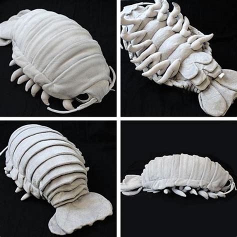 Win A Giant Plush Giant Isopod! | Deep Sea News