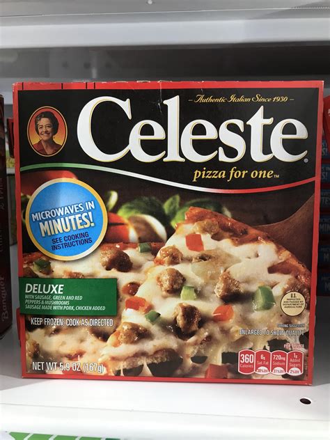 Microwave or toaster oven? : r/celestegame