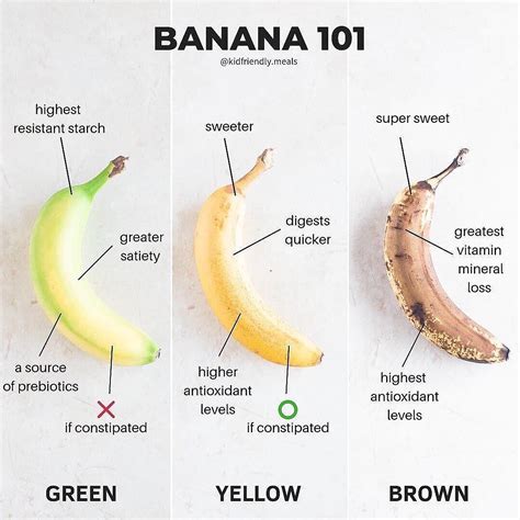 Banana 101 : r/coolguides