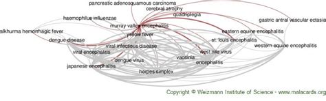 Murray Valley Encephalitis disease: Malacards - Research Articles ...